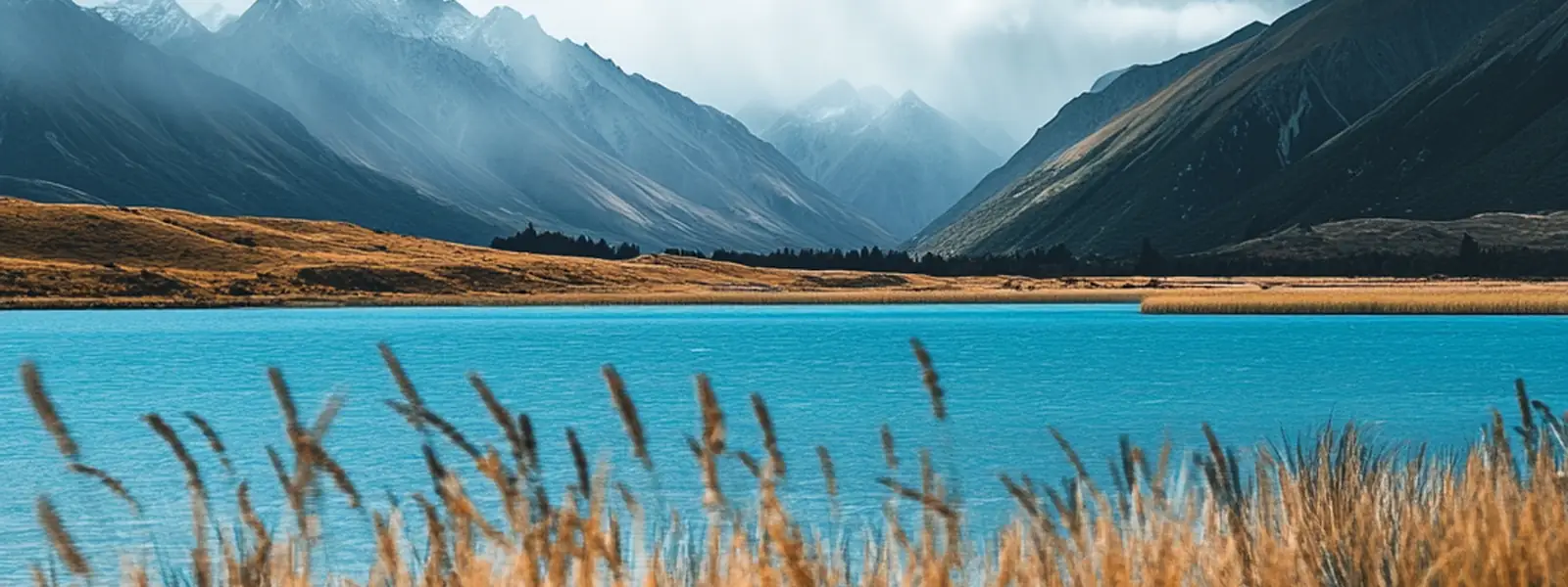 Un lac entre des montagnes, des herbes dorées au premier plan